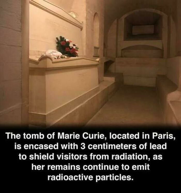 Fascinating pics of Marie Curie's lead-encased tomb in Paris with a flower bouquet for a brain boost.