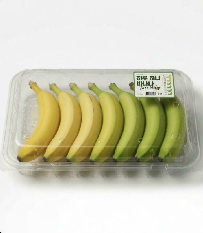 A package of bananas showing different stages of ripeness, a fascinating pic for a 5-minute brain boost.