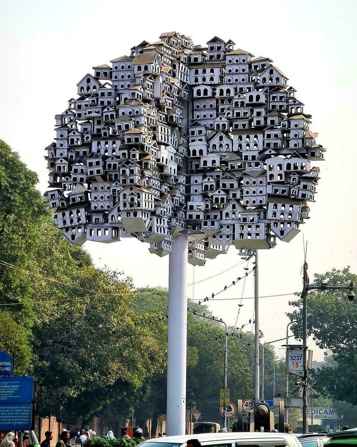 A tree-like structure covered in many small birdhouses, a fascinating pic for a brain boost.