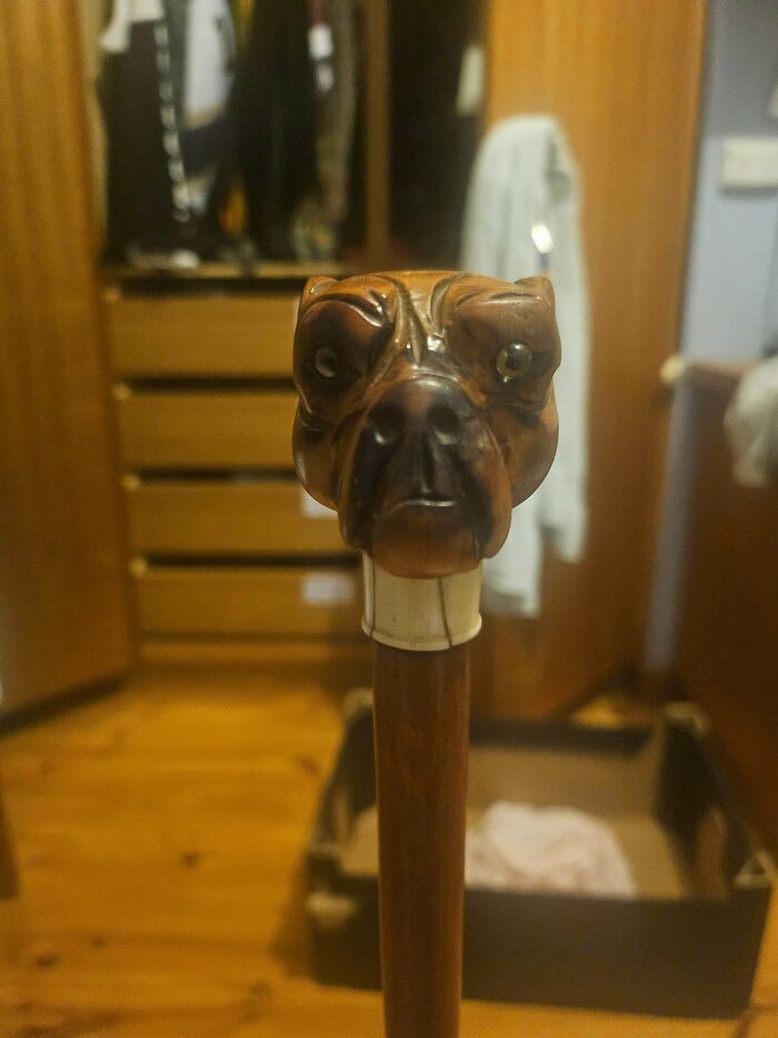 A remarkable antique walking stick with a intricately carved wooden bulldog head for a handle.