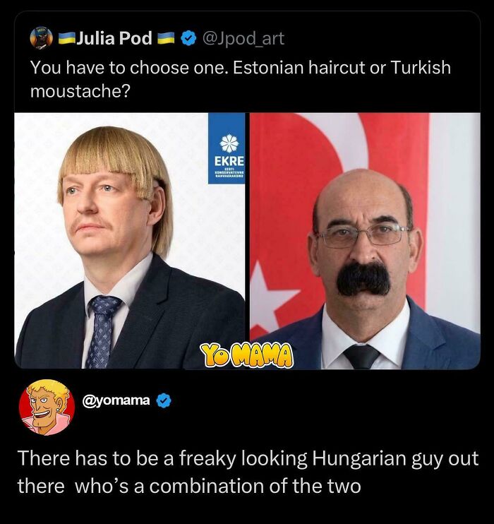 A meme contrasting two men, one with an Estonian haircut and another with a Turkish moustache, for a bad hair day laugh.