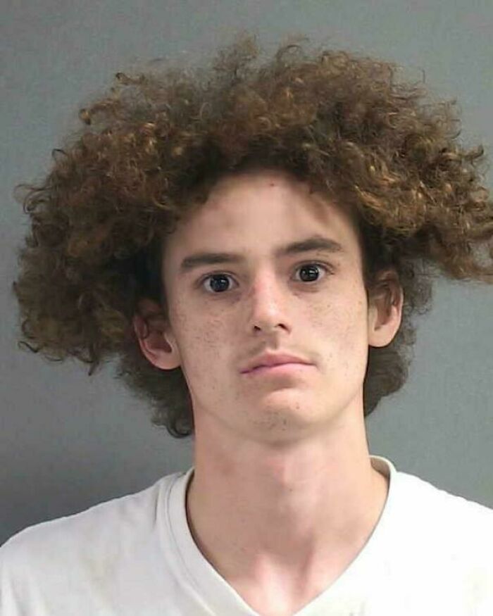 A young man with wild, curly brown hair, having a very bad hair day.