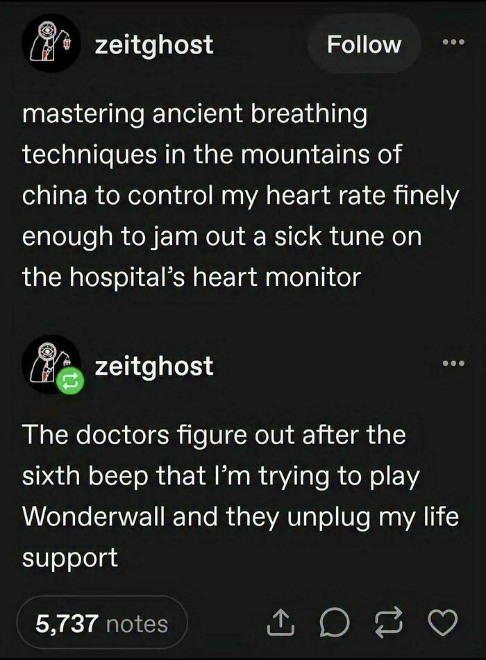 A Tumblr post about trying to play Wonderwall on a hospital heart monitor, a wild Tumblr gem.