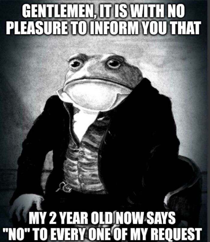 A meme with a frog in a suit looking displeased, with text about a 2-year-old saying NO. It captures the fun side of being a dad.