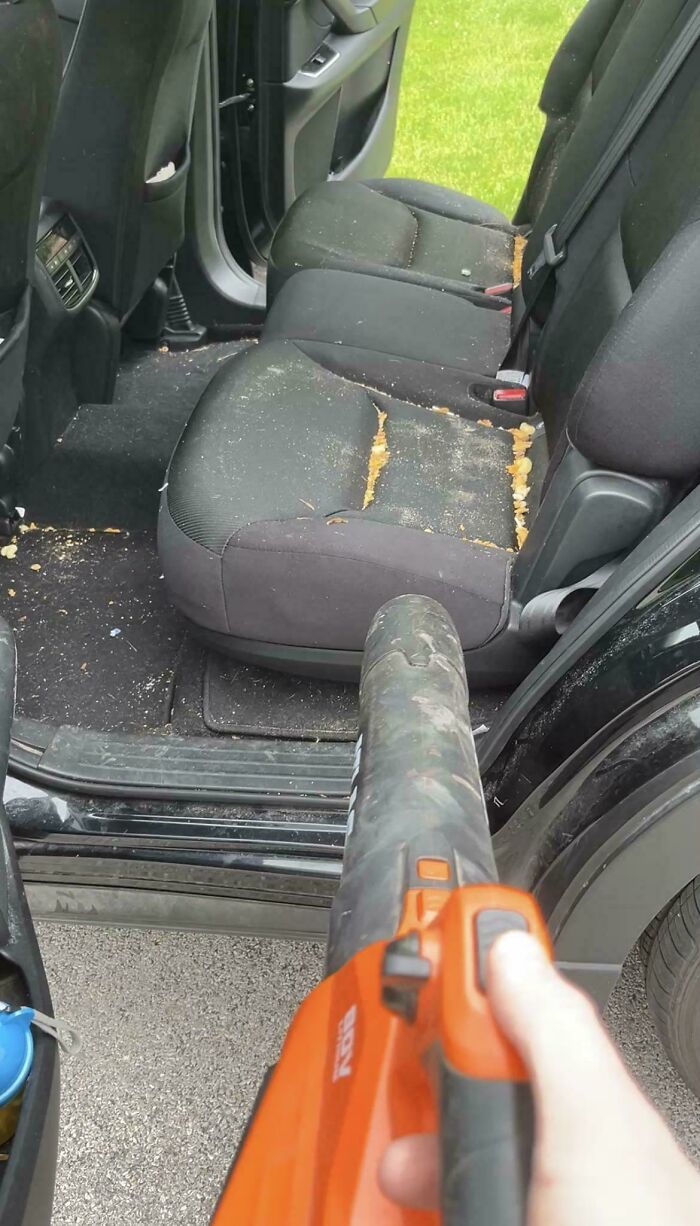 A hand holding a leaf blower cleaning the messy backseats of a car, a wholesome and fun side of being a dad.