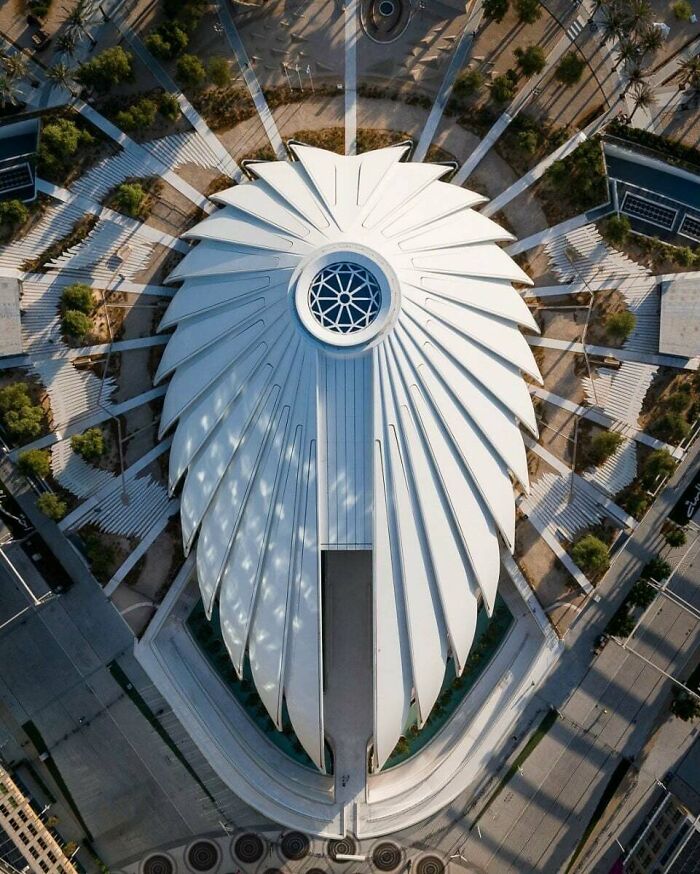 Uae Pavilion At Expo 2020 Dubai By Santiago Calatrava