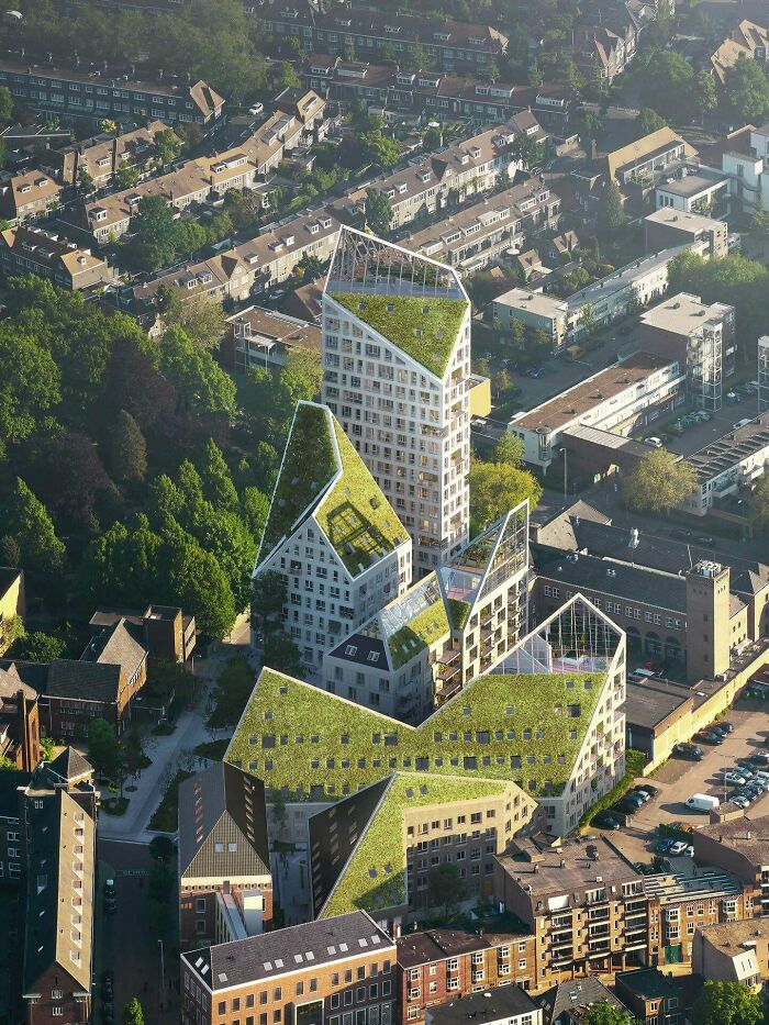 Nieuw Bergen By Mvrdv