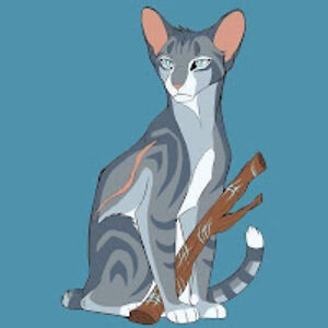 aliceriedl avatar
