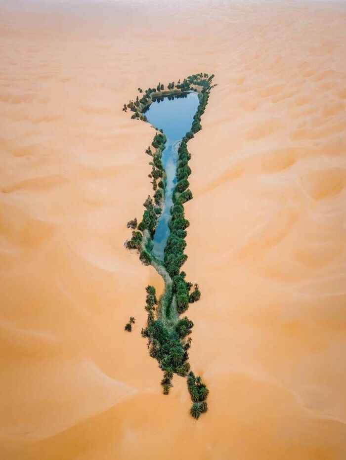 An interesting aerial view of a vibrant green oasis with a blue lake in the shape of a river amidst vast desert dunes.