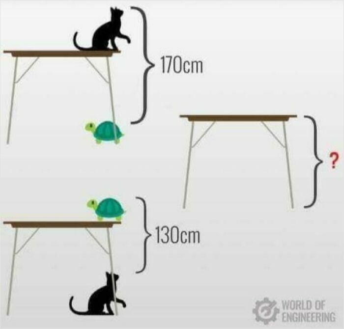 A brain puzzle image depicting a cat and a turtle on and under tables, with measurements for height.