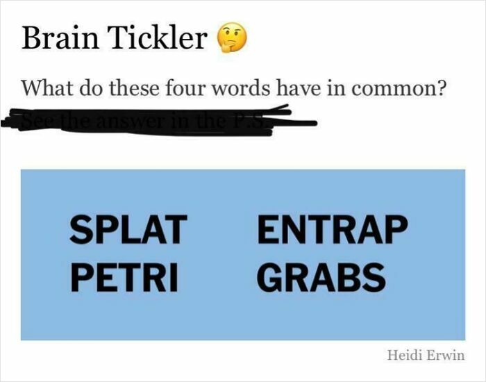 A brain tickler puzzle with four words (SPLAT, PETRI, ENTRAP, GRABS) for confident people.