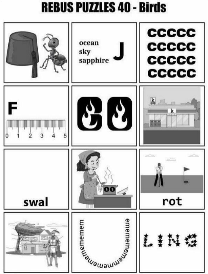 A grid of 9 rebus brain puzzles, each containing images and text that represent a word or phrase.