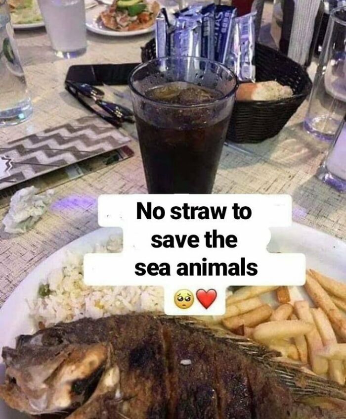 Plate of food with drink caption about no straw saving sea animals