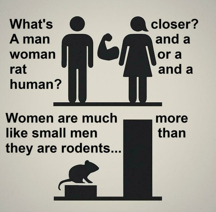 Funny sign comparing women to small men not rodents with graphic figures and a rat illustration