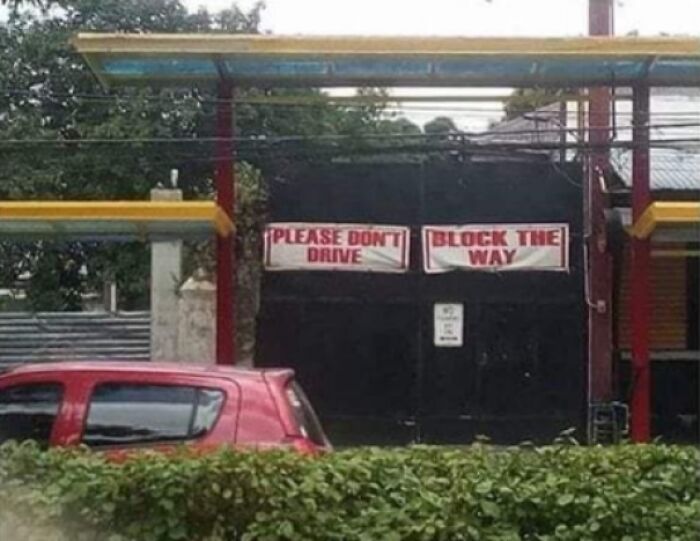 Confusing no blocking driveway signs with red car and greenery