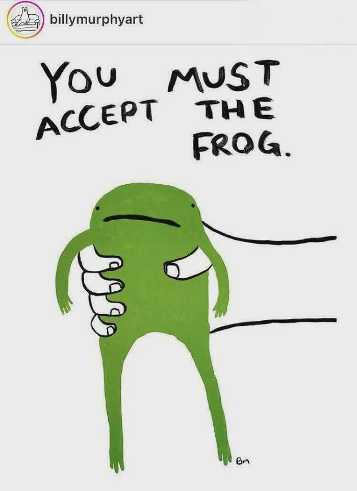 Cartoon frog held by hand with caption about accepting the frog