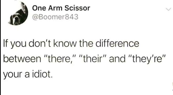 Social media post mocking grammar mistake while calling others idiots