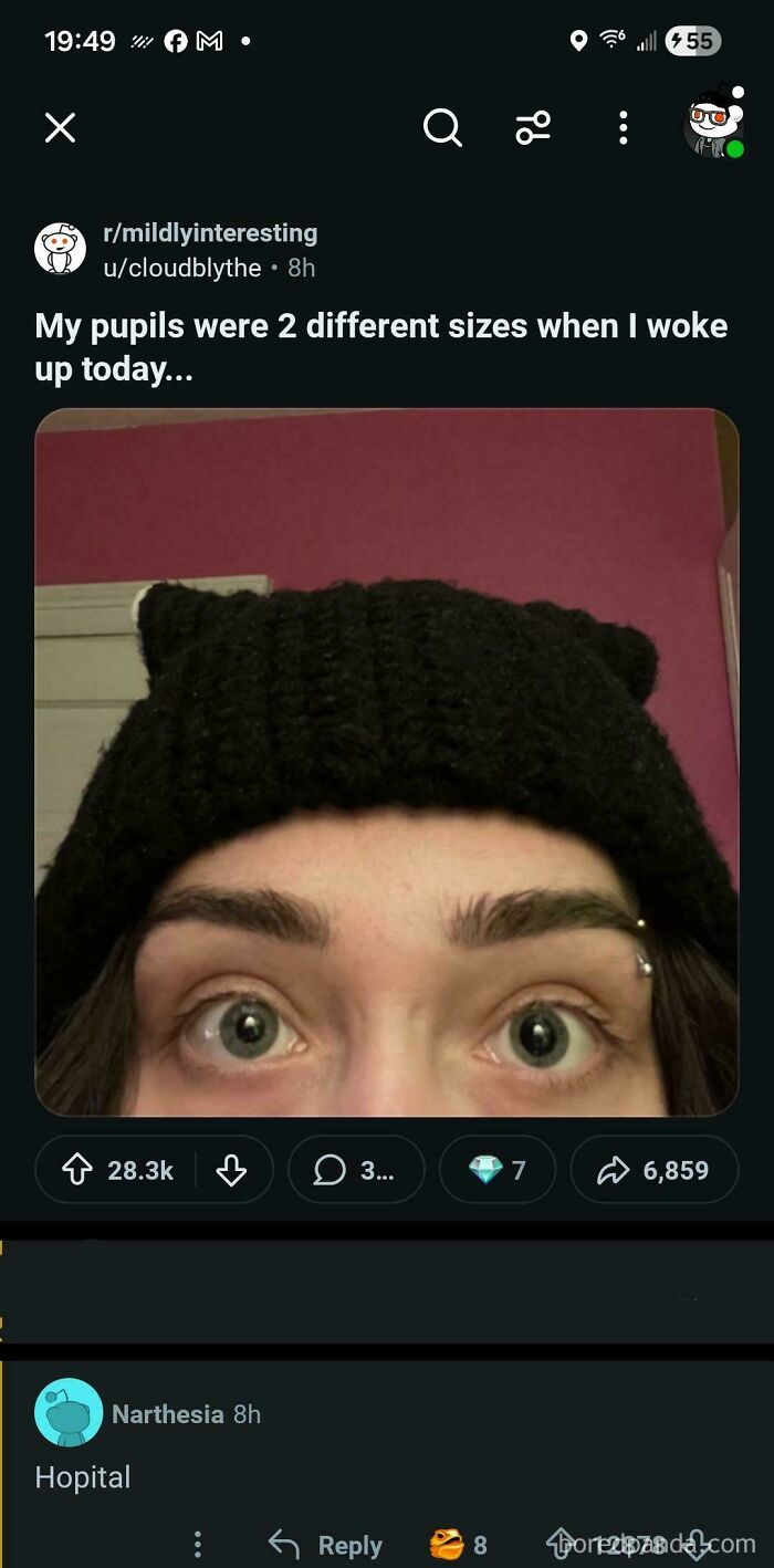 Photo showing different pupil sizes with humorous Reddit comment
