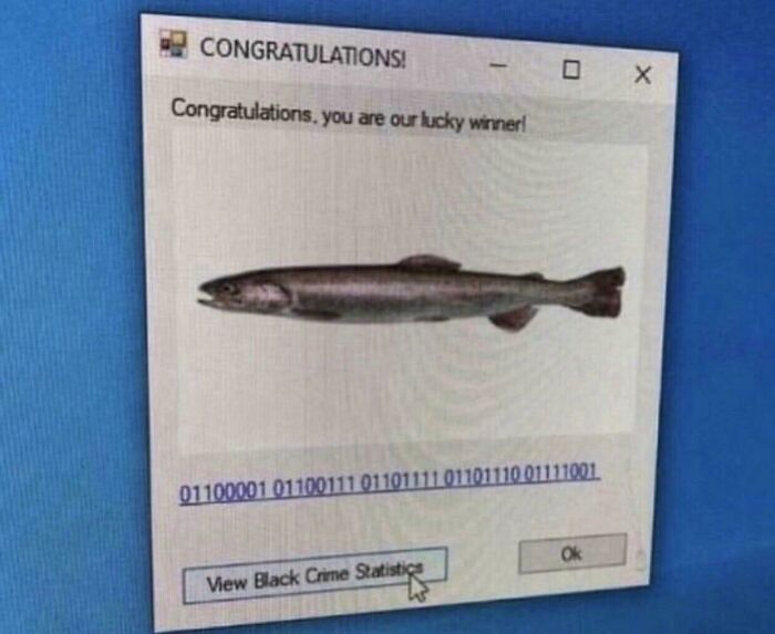 Funny computer pop-up with fish and strange binary code
