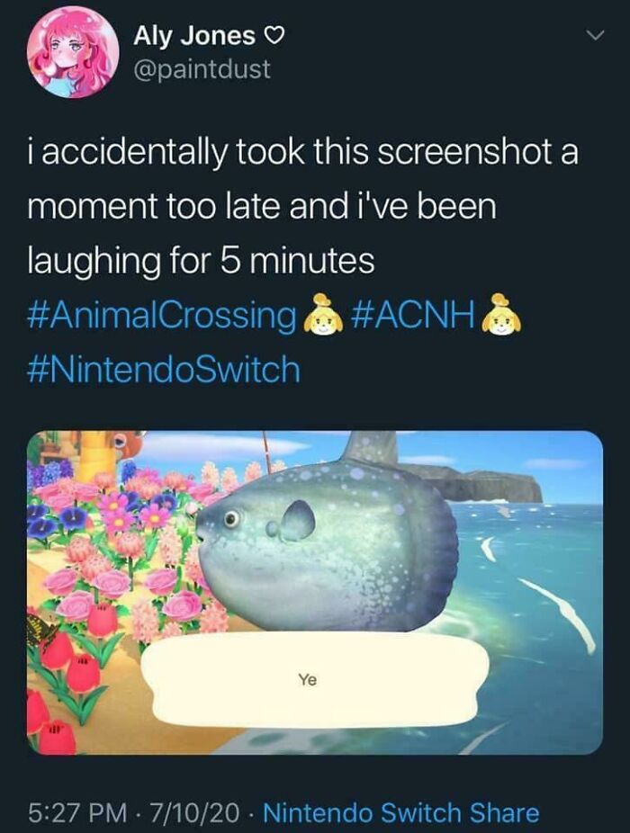 Animal Crossing funny fish caught with word ye