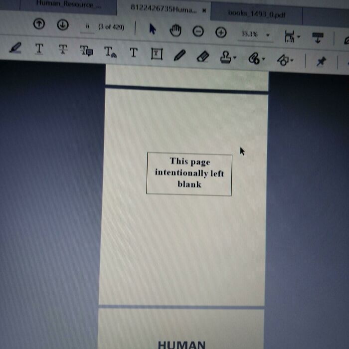 PDF screenshot showing page intentionally left blank in document
