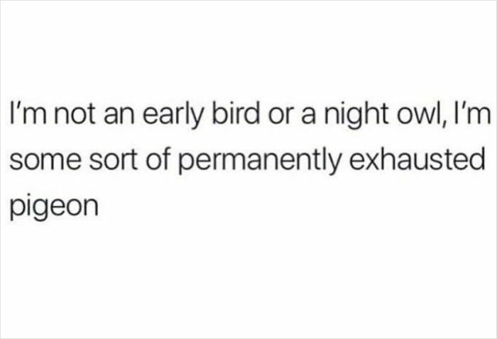 Humorous text meme about being a permanently exhausted pigeon