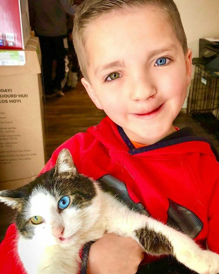 Interesting posts of a child and cat with heterochromia, a much-needed break from everything.