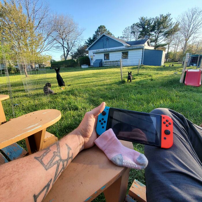 A tattooed arm holding a Nintendo Switch outdoors, a relaxed father enjoying his free time with dogs in the background.
