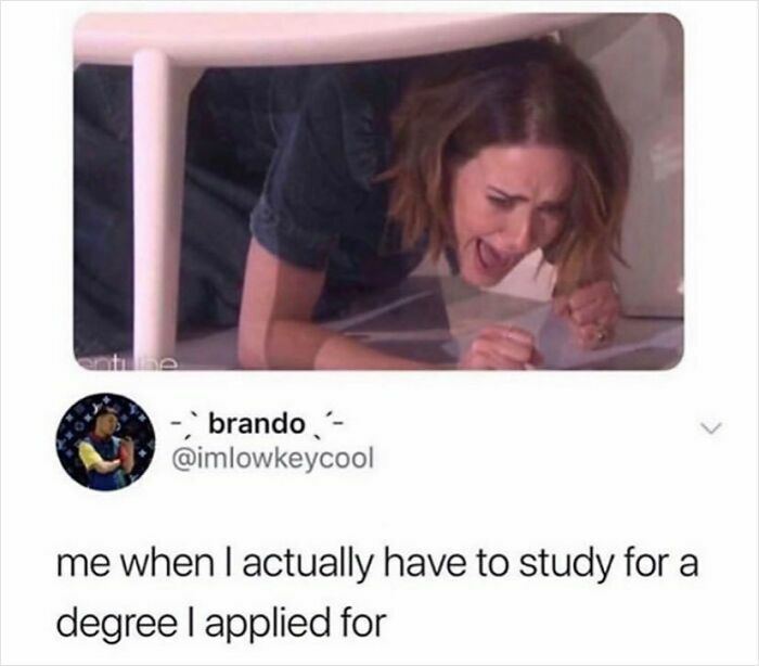 Funny meme about reluctance to study for a chosen degree