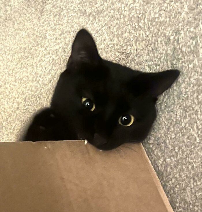 I Was Told My Void Belongs Here