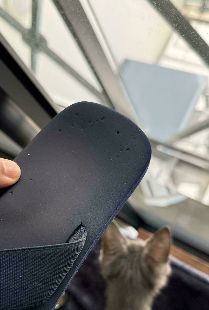 Stapled Flip Flops