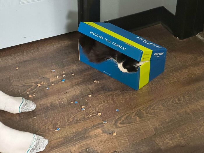 Caught Her Red Handed ‼️