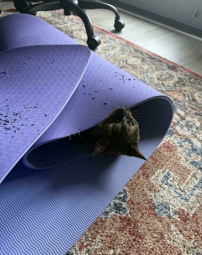 Rip My Yoga Mat