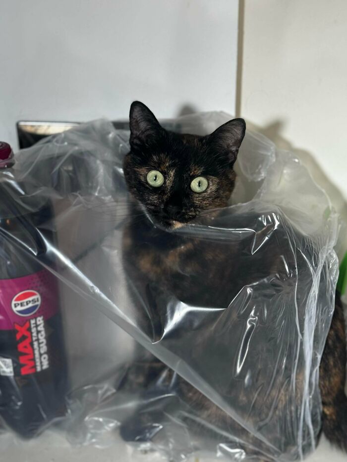 She Loves The Plastic