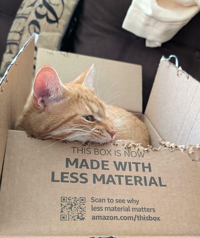 Just Some Casual Stapling 📦