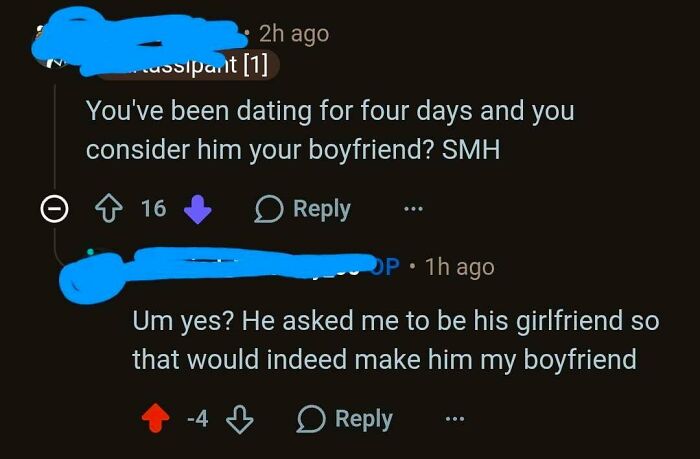 Weird internet moment captured in a screenshot of a Reddit conversation about a new relationship.