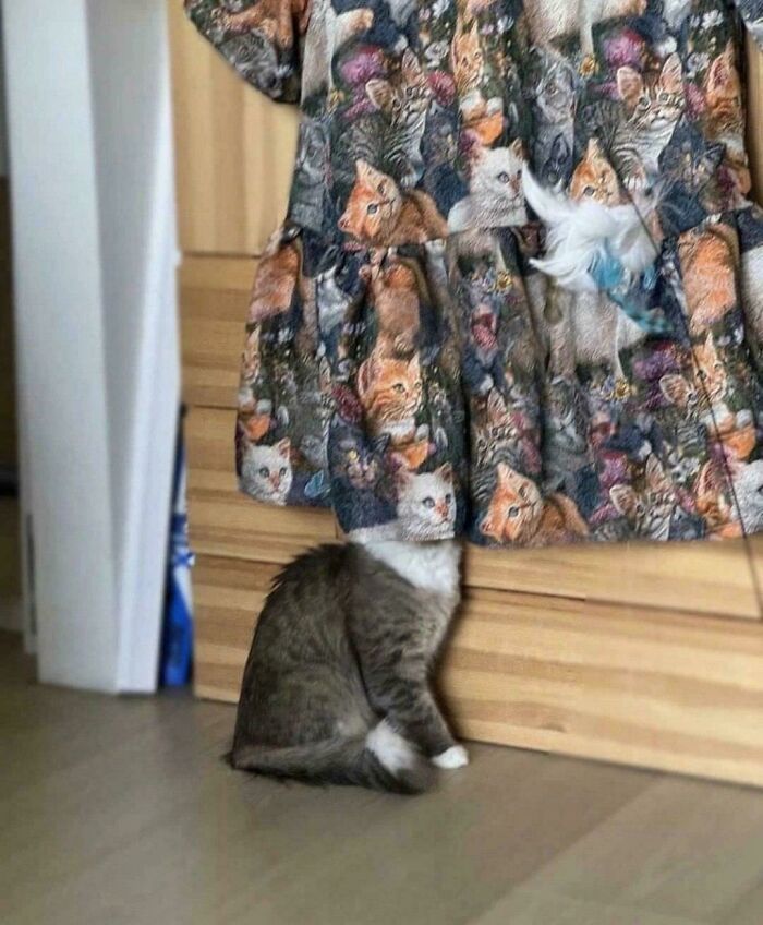 A cat sits under a cat-patterned dress, creating a funny glitch in the matrix illusion where its head seems to disappear.
