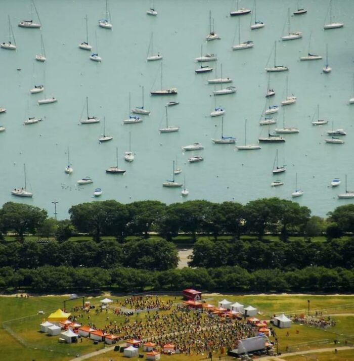 An aerial view of numerous sailboats on blue water near a tree-lined shore and a festival, appearing like a glitch in the matrix.