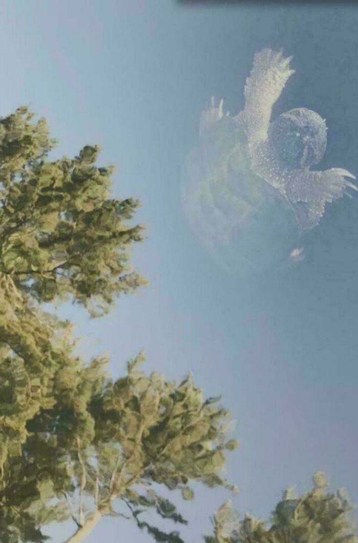 A turtle-like shape in the sky, a glitch in the matrix effect above green trees.
