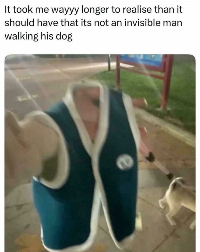 A person in a sleeveless jacket appears headless while walking a dog, an optical illusion or a glitch in the matrix.