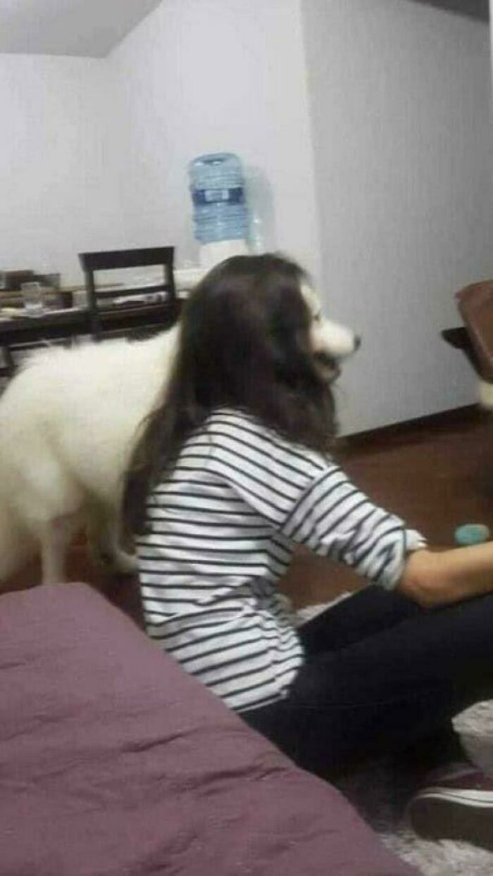 A white dog's head perfectly aligns with a girl's head, creating a glitch in the matrix illusion.