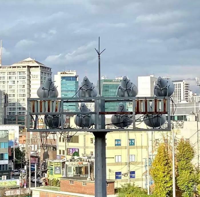 Several bird-like objects are perched on a street light fixture, a glitch in the matrix in an urban landscape.