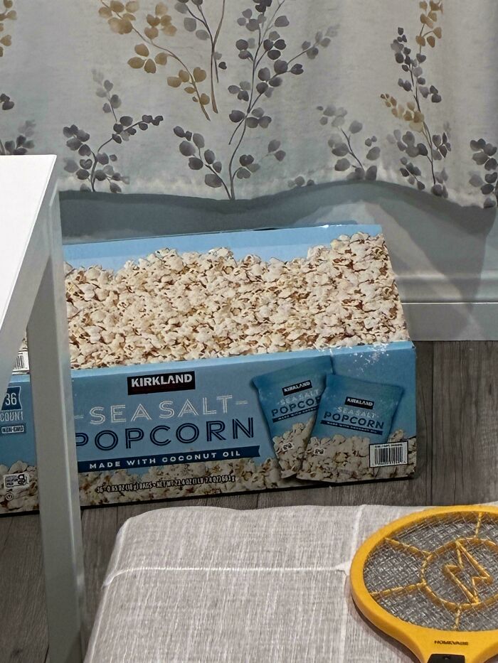 A large box of Kirkland sea salt popcorn, appearing to be an overflowing glitch in the matrix.