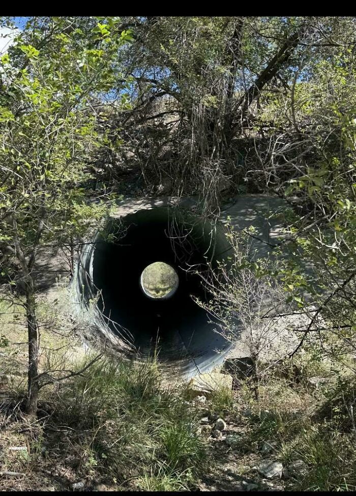 A large pipe opening in a wooded area, creating a visual glitch in the matrix effect.