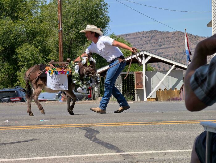 A man in a cowboy hat and jeans leads a donkey decorated with flowers, creating a glitch in the matrix.