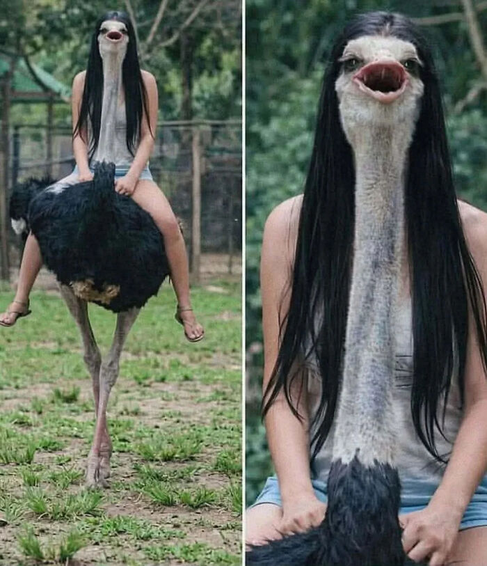 A woman with an ostrich head, a visual glitch in the Matrix illusion.