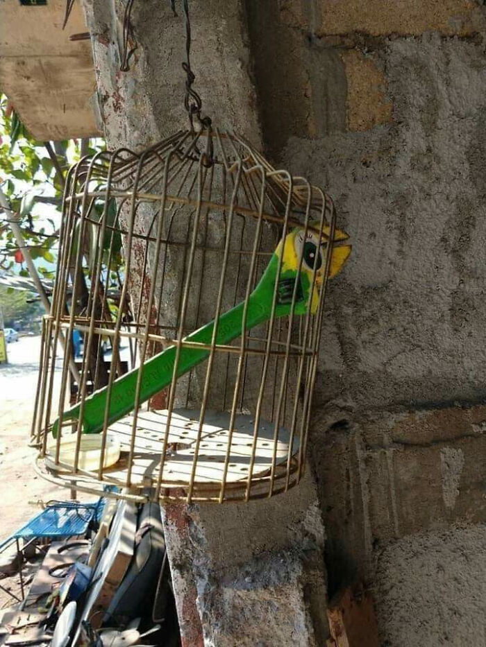 A green plastic toy bird with a yellow head inside a birdcage, a peculiar thing spotted in real life.