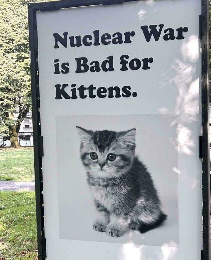 A sign saying 'Nuclear War is Bad for Kittens' with a kitten picture, part of Not Interesting photos.