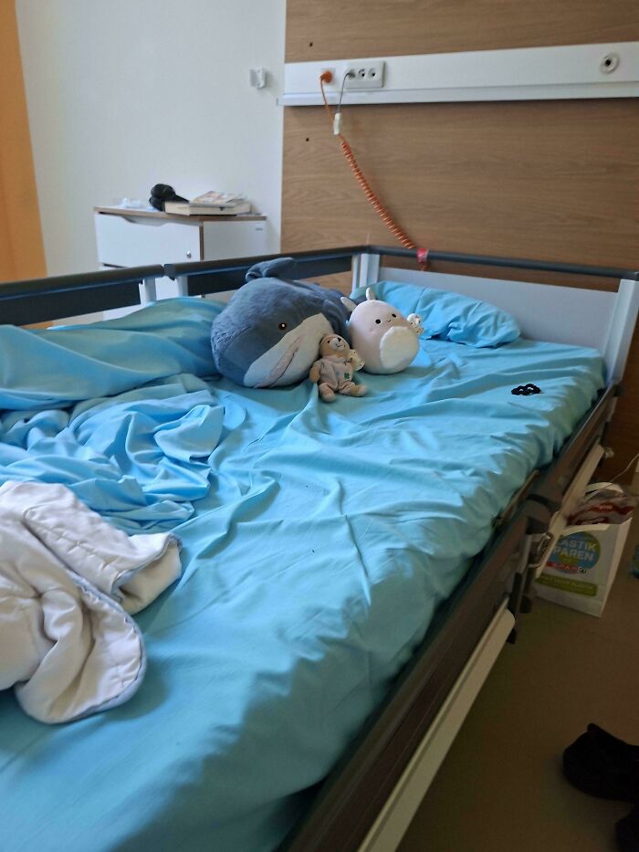 A hospital bed with a blue sheet and stuffed animals, a capture from the “Not Interesting” community photos.