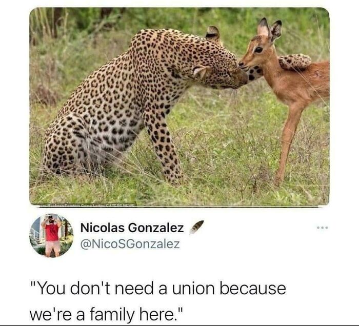 I Don't Know Much, But I Do Know One Thing, You Need A Union